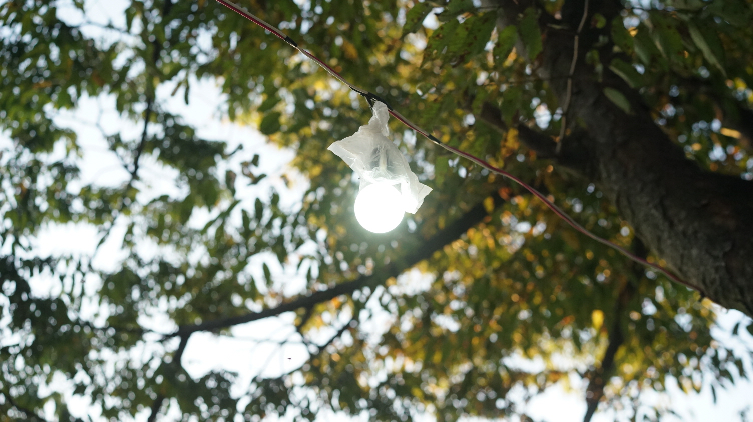 [크기변환]DSC03980.JPG